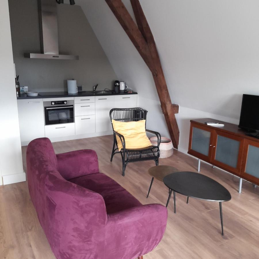 Historic Renovated Apartment With Balcony And Garden View Гауда Екстер'єр фото